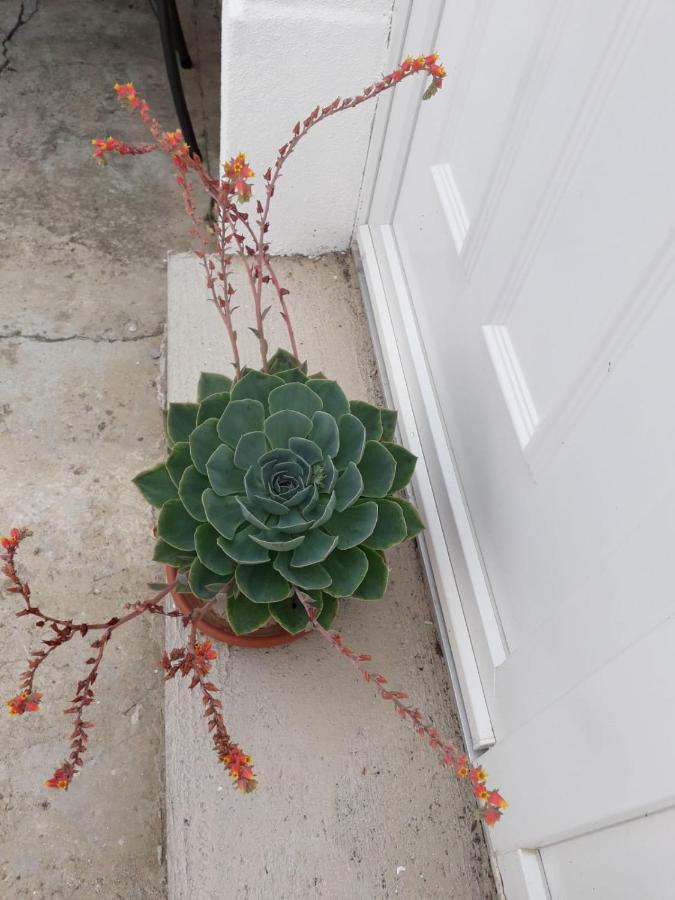 Kuca Za Odmor Varos Villa Vrlika Kültér fotó