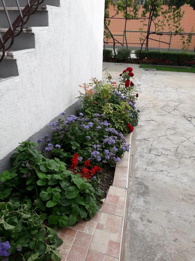 Kuca Za Odmor Varos Villa Vrlika Kültér fotó